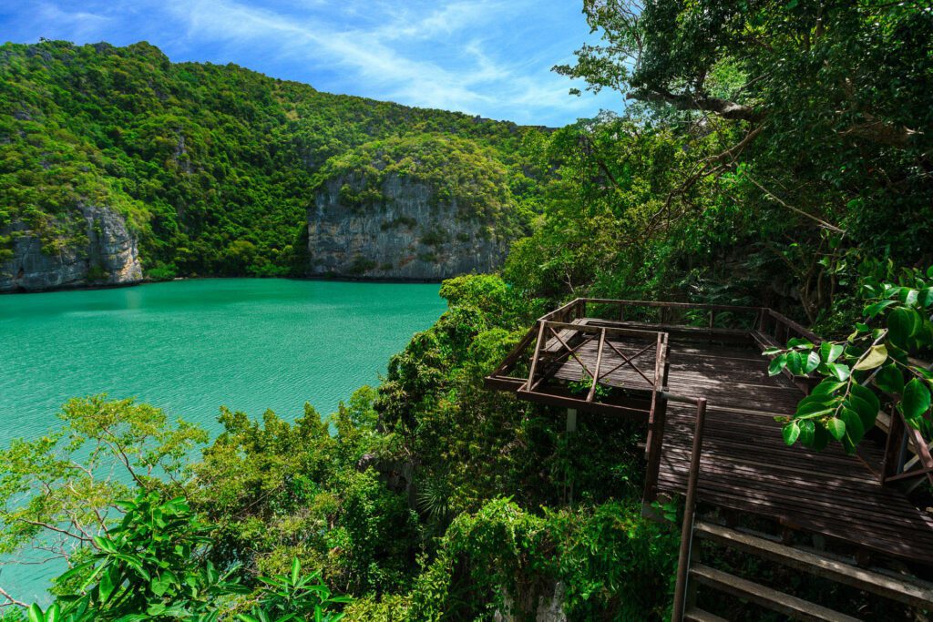 A wooden viewpoint surrounded by greenary overlooking the Emerald Lake