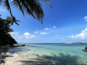 A beah surrounded by palm trees with a party boat in the background