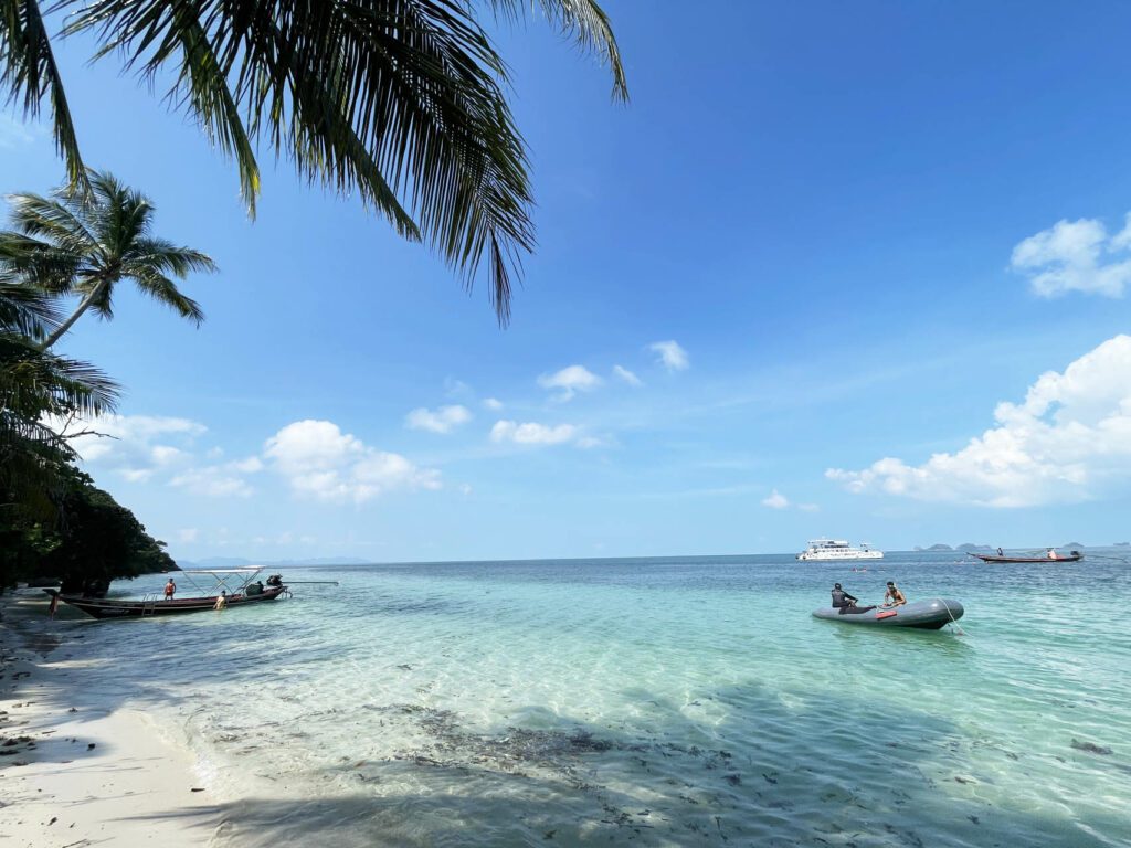 A beach covered by the shadow of palm trees and a sea.