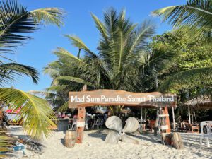Mad Sum Paradise sign above an entry way towards a bar on Pig Island